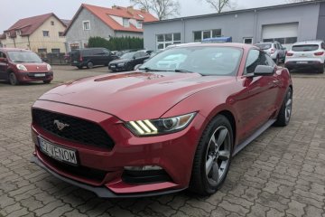 Ford Mustang 3,7, nowo założony GAZ, piękny stan